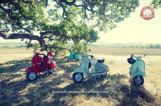 3-Hours Vespa Tour in the Tuscan Hills - The local-product tasting