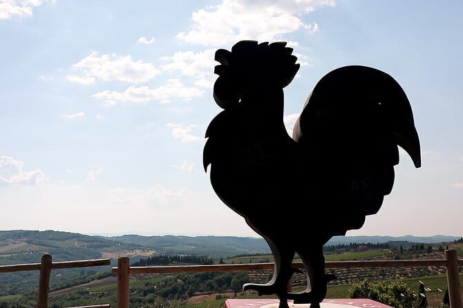 Chianti Hills: App‑Guided e‑Vespa Tour + Lunch in Greve - Documents, Age Rules, and Riding Ability
