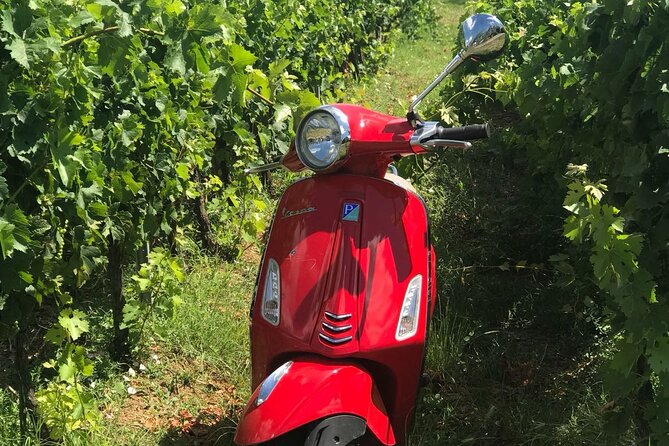 Chianti Vespa Tour - Wine Tasting With Time to Look Around