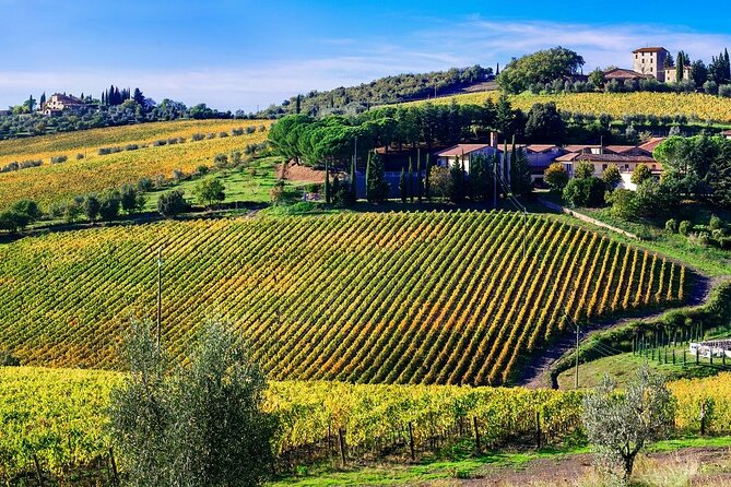Chianti Vespa Tour - The Real Cost: $129.86 and Optional Pickup