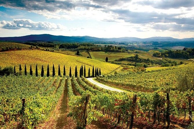 Chianti Vespa Tour - Who Should Book This Tour?