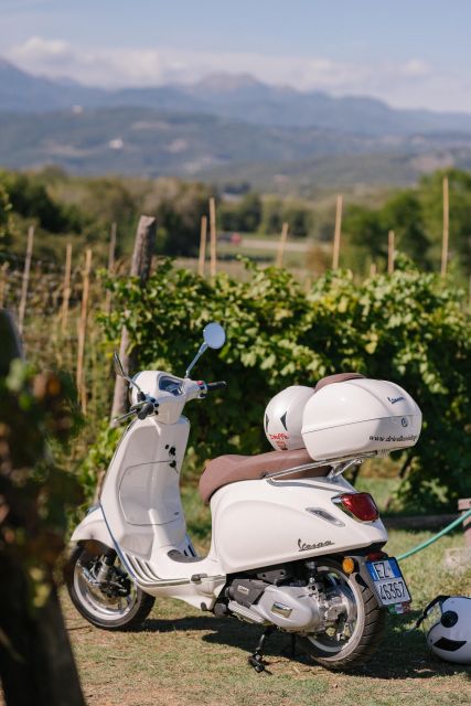 Explore the Rolling Hills of Lucca on a Vespa 125 Primavera - Key points to know before you book