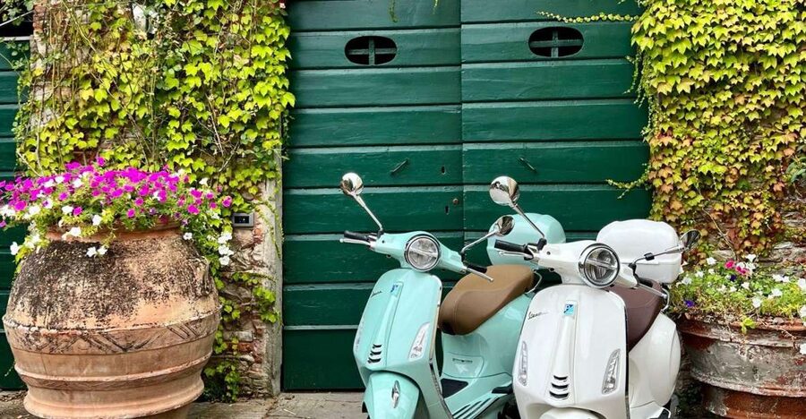 Explore the Rolling Hills of Lucca on a Vespa 125 Primavera - Adding the winery picnic beneath the olive trees