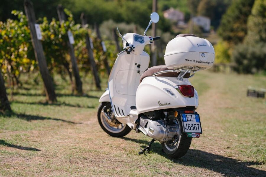 Explore the Rolling Hills of Lucca on a Vespa 125 Primavera - Who should book this experience