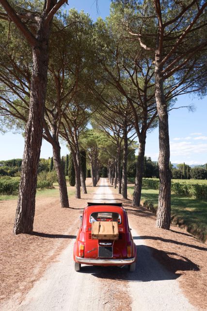 Fiat 500: Self-Tour in the Tuscan countryside - Choosing the winery picnic