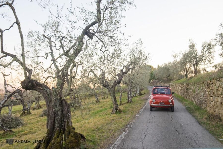 Florence: Private Vintage Fiat500 Countryside & Winery Lunch - Is $210 good value?
