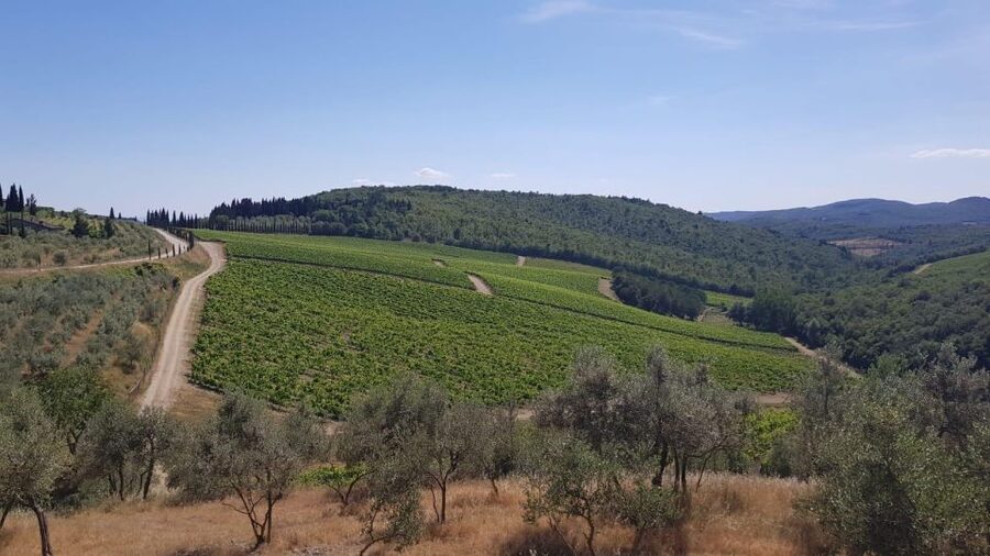 Florence: Private Vintage Fiat500 Countryside & Winery Lunch - Comfort, safety, and who should book