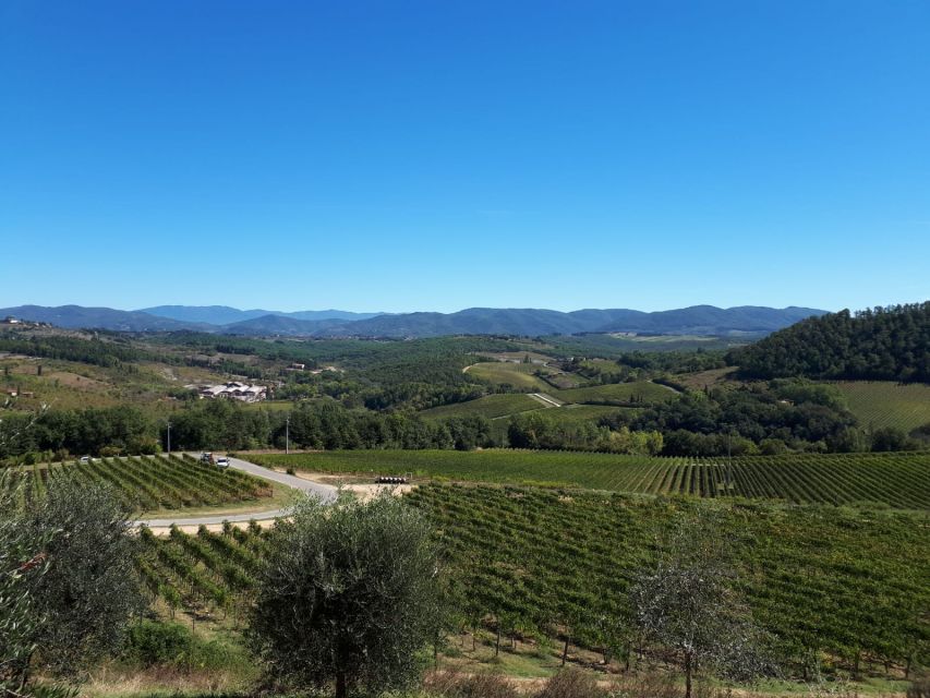Florence: Vintage Fiat 500 Tour with Chianti Winery & Lunch - Key points at a glance