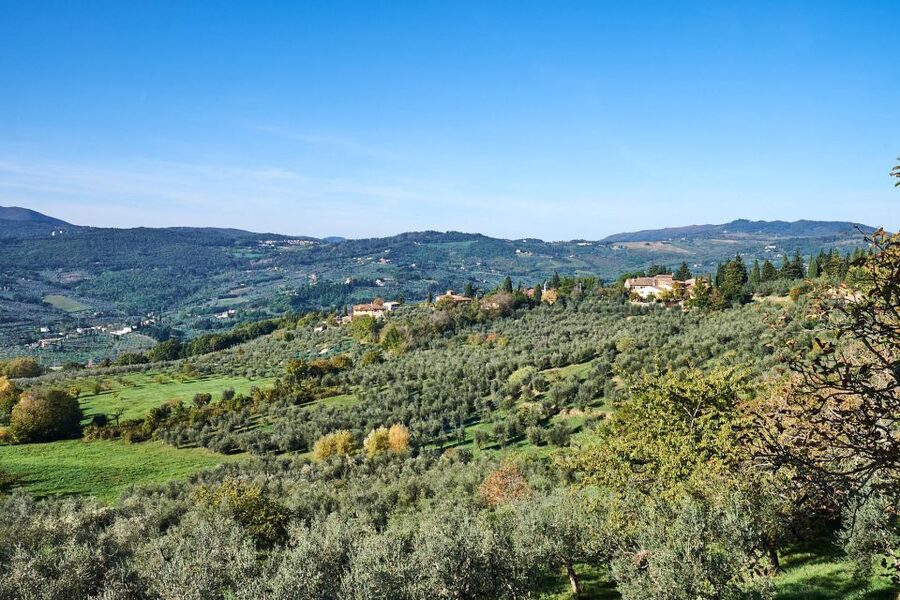 Florence: Vintage Fiat 500 Tour with Wine Tasting at Winery - What $152 buys you