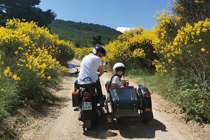 From Aix-en-Provence: 1-Hour Scenic Sidecar Tour on Cézanne Road - Following the Route de Cézanne
