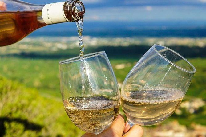 From Aix-en-Provence: Sidecar Day Tour with Wine tastings - Who will enjoy this most