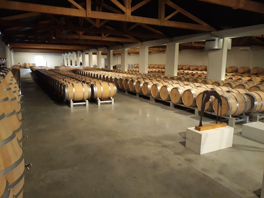 From Bordeaux: Médoc Vineyard and Chateau Tour by Sidecar - Who should book this Médoc outing?