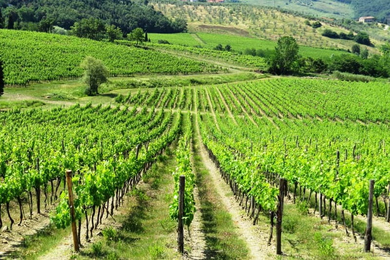 From Florence: Chianti Self-Guided Vespa Tour with Lunch - Key points to know before you book