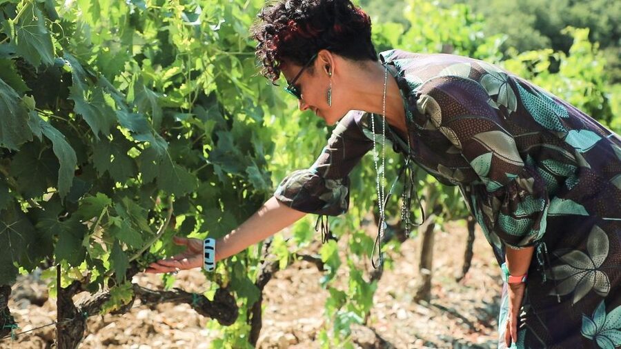From Florence: Chianti Self-Guided Vespa Tour with Lunch - Should you book the Chianti Vespa tour?
