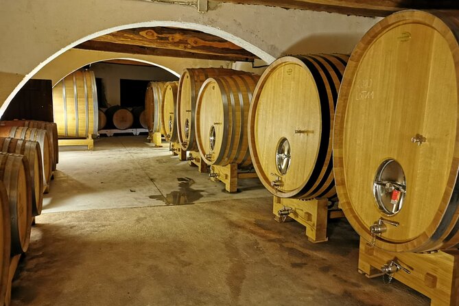 From Marseille : Sidecar Wine Tour to Cassis and Bandol - Who will get the most from the $289.61 price