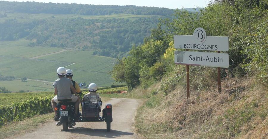 From Meursault: Private Sidecar Tour & Vineyard Wine Tasting - What the guide adds to the experience