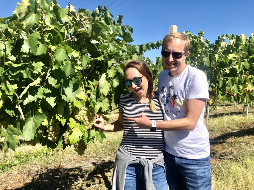 From San Gimignano: Chianti Half-Day Vespa Tour with Lunch - The winery stop turns a ride into a Tuscan meal