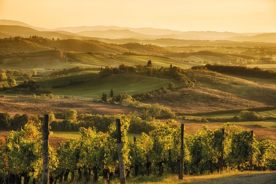 From San Gimignano: Vintage Fiat 500 Self-Drive Chianti Tour - The Winery Stop Includes Wine and Snacks