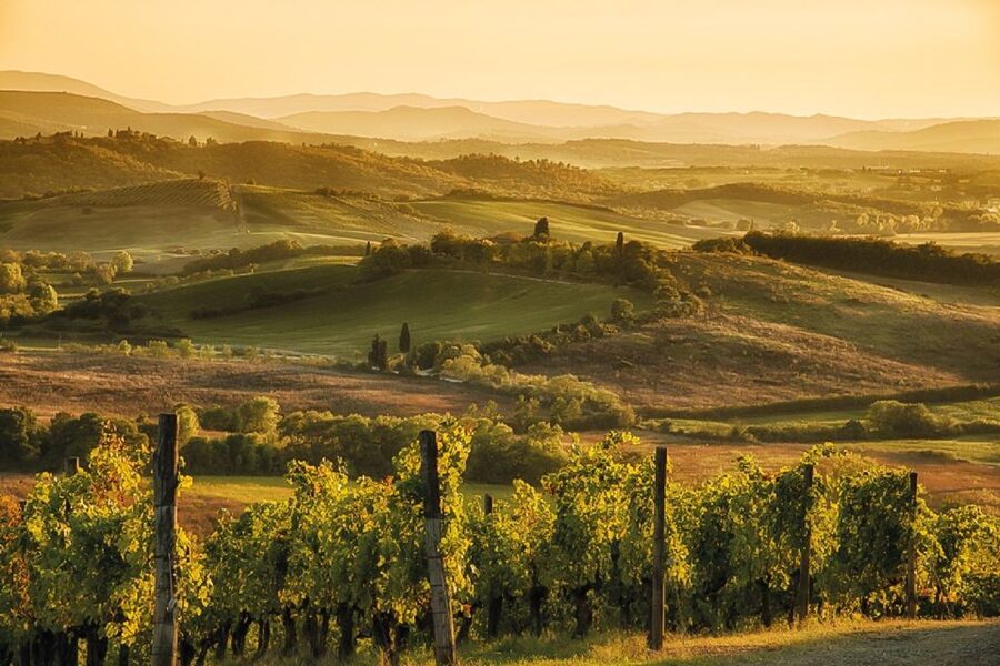 From Siena: Day Tour in a Vintage Fiat 500 with Winery - Should you book the vintage Fiat 500 tour?