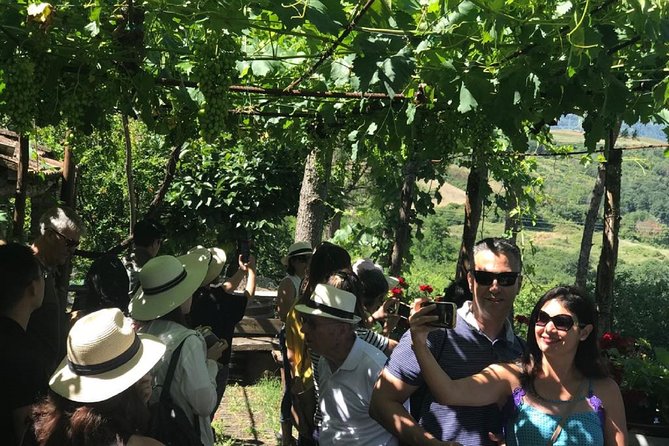 Full-Day Chianti Tour by Vespa Scooter from San Gimignano - Wine and lunch at Casale dello Sparviero
