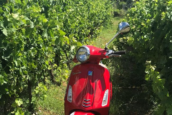 Full-Day Chianti Tour by Vespa Scooter from San Gimignano - Weather, safety, and the main risks