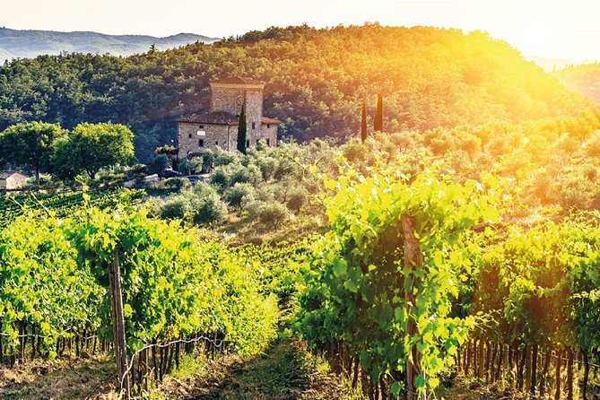 Full-Day Chianti Tour by Vespa Scooter from San Gimignano - Who will enjoy this day most