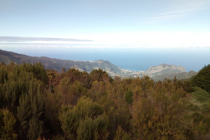 Half-Day Private Sidecar Tour on Madeira’s West Coast - What to wear and how the ride feels