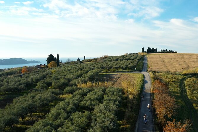 Half Day Vespa Countryside Tour and Tastings in Istria - Back in Piran with local wine