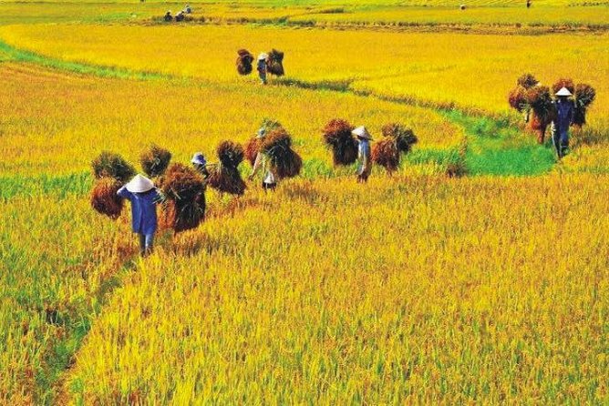 Hanoi Vespa Countryside Tour With Female Ao Dai Riders Half Day - Is $58 a fair price?