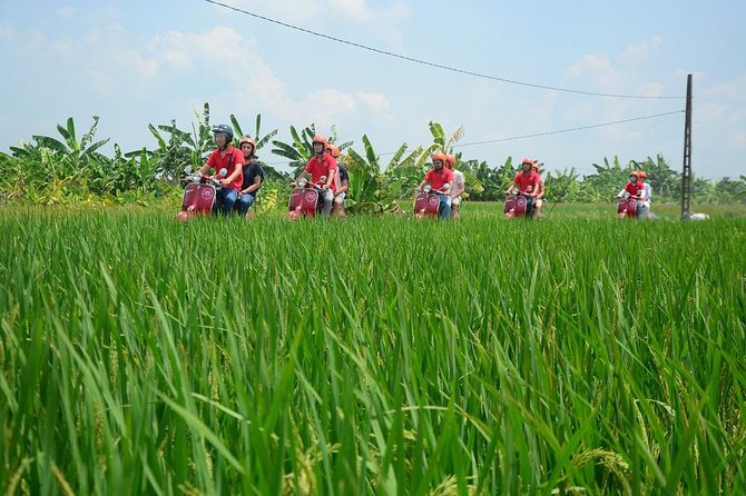 Hanoi Vespa Tours: Hanoi Vintage Vespa Tours Countryside - Co Loa Citadel and the farming villages
