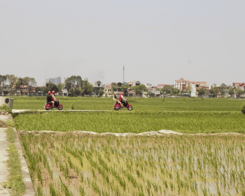Hanoi Vintage Vespa Tours: A Half-Day Countryside Adventure - Fruit, sugarcane juice, and a lotus lake