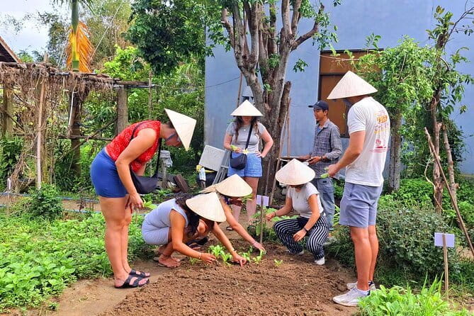 Hoi An Cooking Class & Vespa Cooking Adventure Tour - Lunch that completes the morning