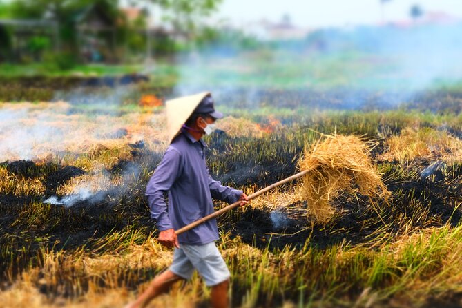Hoi An Countryside Vespa Tour: Food, Culture & Daily Life - Value at $93