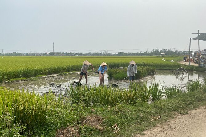 Hoi An Countryside Vespa Tour: Food, Culture & Daily Life - Weather, comfort, and practical details
