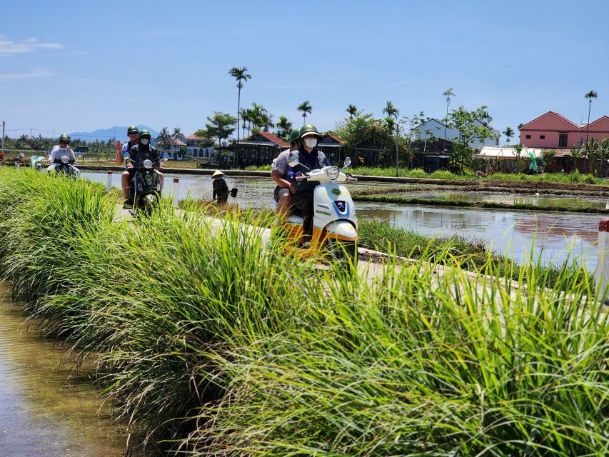 Hoi An Highlights and Hidden Gems Tour by Vespa - A home-cooked meal built around Hoi An specialties