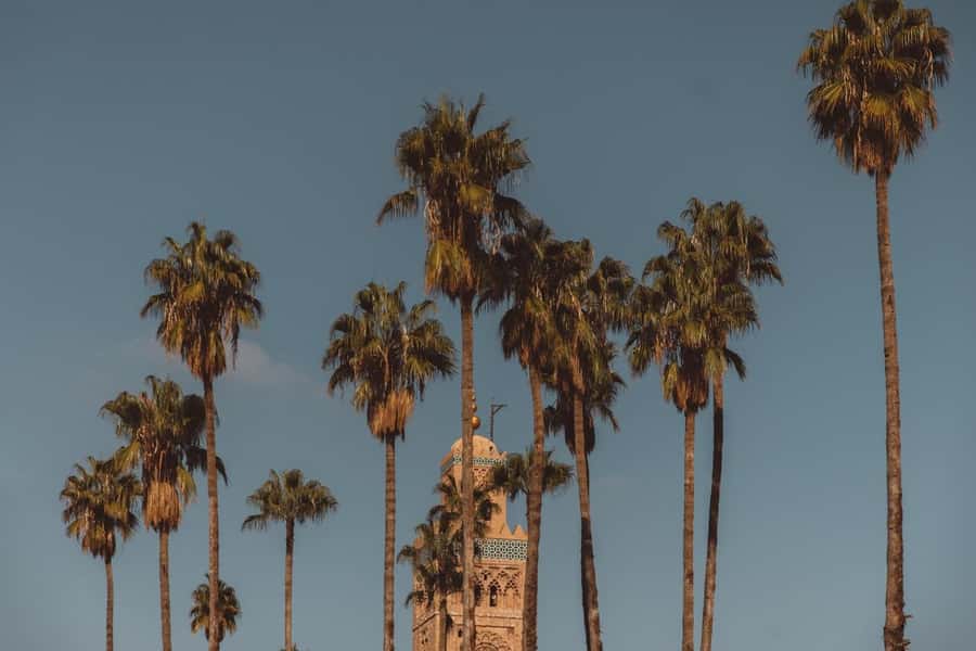 Marrakech Hidden Gems: Vintage 1h30 Sidecar Guided Tour - What the local guide adds