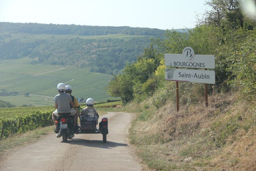 Meursault: Tour of the Vineyards on Motorbike with Sidecar - Is $64 a fair price?