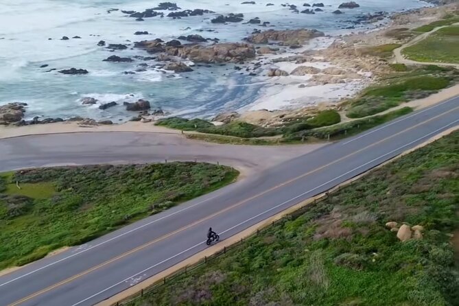 Monterey Bay Famous Dog Friendly Electric Bike and Sidecar Tour - Why this Carmel dog-friendly bike tour works