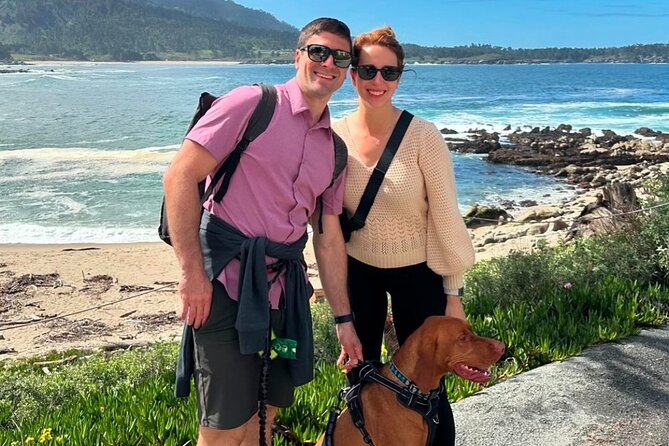 Monterey Bay Famous Dog Friendly Electric Bike and Sidecar Tour - Getting your dog comfortable in the sidecar