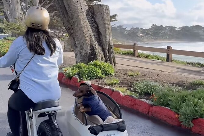 Monterey Bay Famous Dog Friendly Electric Bike and Sidecar Tour - Carmel River State Beach and Mission Ranch