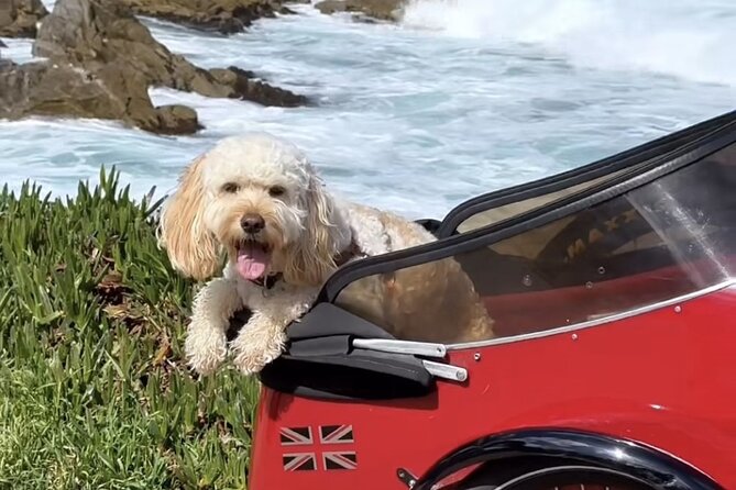 Monterey Bay Famous Dog Friendly Electric Bike and Sidecar Tour - A pause at Carmel Mission Basilica