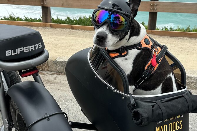 Monterey Bay Famous Dog Friendly Electric Bike and Sidecar Tour - Redwoods, trails, and the useful electric motor