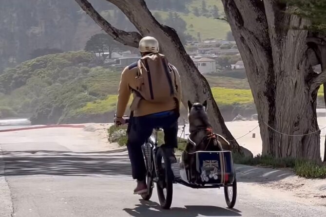 Monterey Bay Famous Dog Friendly Electric Bike and Sidecar Tour - Carmel’s dollhouse-like homes and the trip toward Pebble Beach