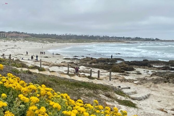 Monterey Bay Famous Dog Friendly Electric Bike and Sidecar Tour - Rolling down to Carmel Beach