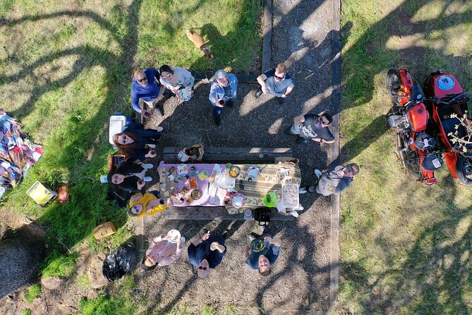 Napa Valley Classic Sidecar Wine tours - The picnic lunch in a scenic park