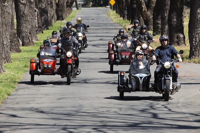 Napa Valley Classic Sidecar Wine tours - Who will enjoy this Napa sidecar tour?