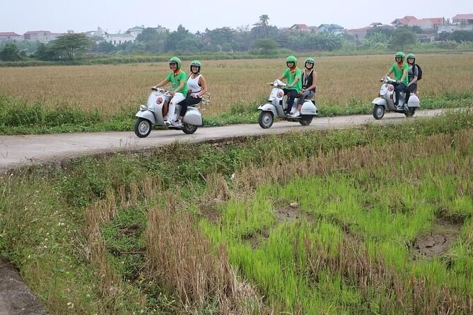 Ninh Binh Vespa Start from Hanoi + Boat + Villages +Rice Paddies - The Tam Coc sampan through three caves