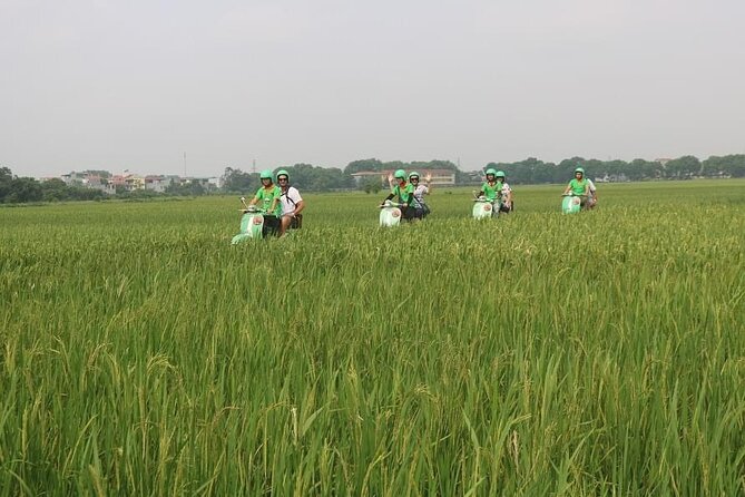 Ninh Binh Vespa Start from Hanoi + Boat + Villages +Rice Paddies - What the $109 price covers
