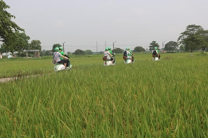 Ninh Binh Vespa Start from Hanoi + Boat + Villages +Rice Paddies - Who should book this day trip