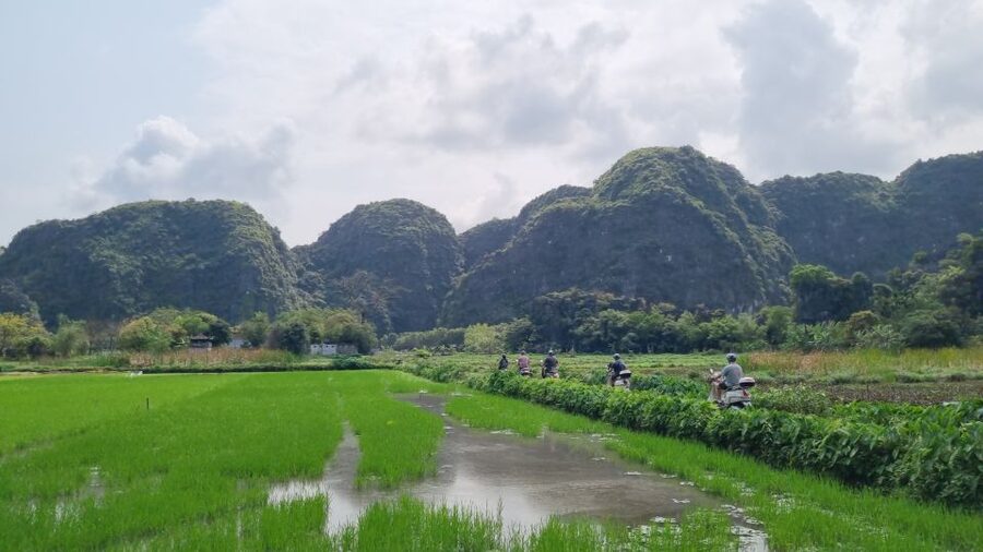 Ninh Binh Vespa Tours from Hanoi: Vespa + Boat + Daily Life - Climbing Mua Mountain for the wide view